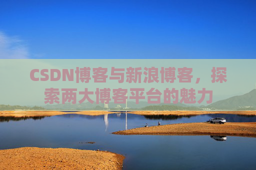 CSDN博客与新浪博客,探索两大博客平台的魅力